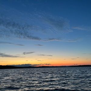 Meet your Posher, Maeve